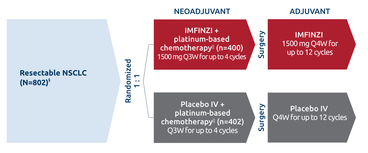 Neoadjuvant IMFINZI + a choice of CT† followed by adjuvant IMFINZI or neoadjuvant placebo + CT followed by adjuvant placebo diagram