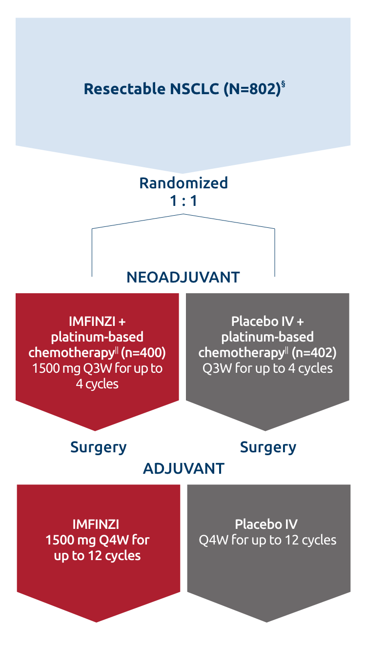 Neoadjuvant IMFINZI + a choice of CT† followed by adjuvant IMFINZI or neoadjuvant placebo + CT followed by adjuvant placebo diagram