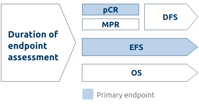 Duration of endpoint assessment diagram