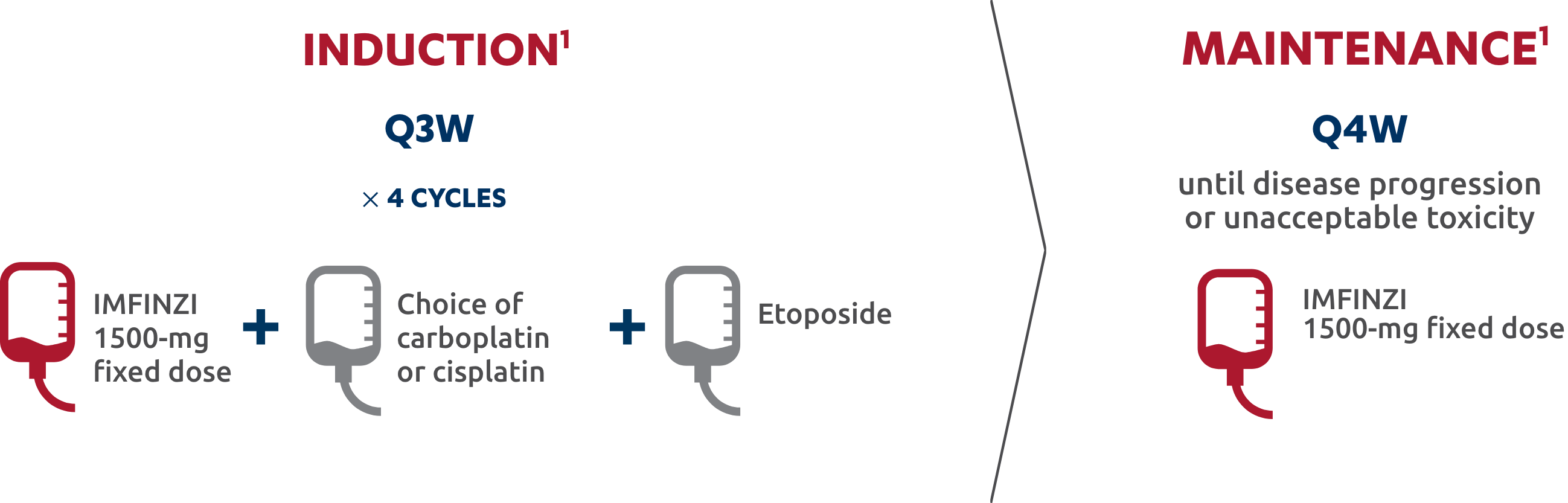 Recommended dosage in 1L ES-SCLC