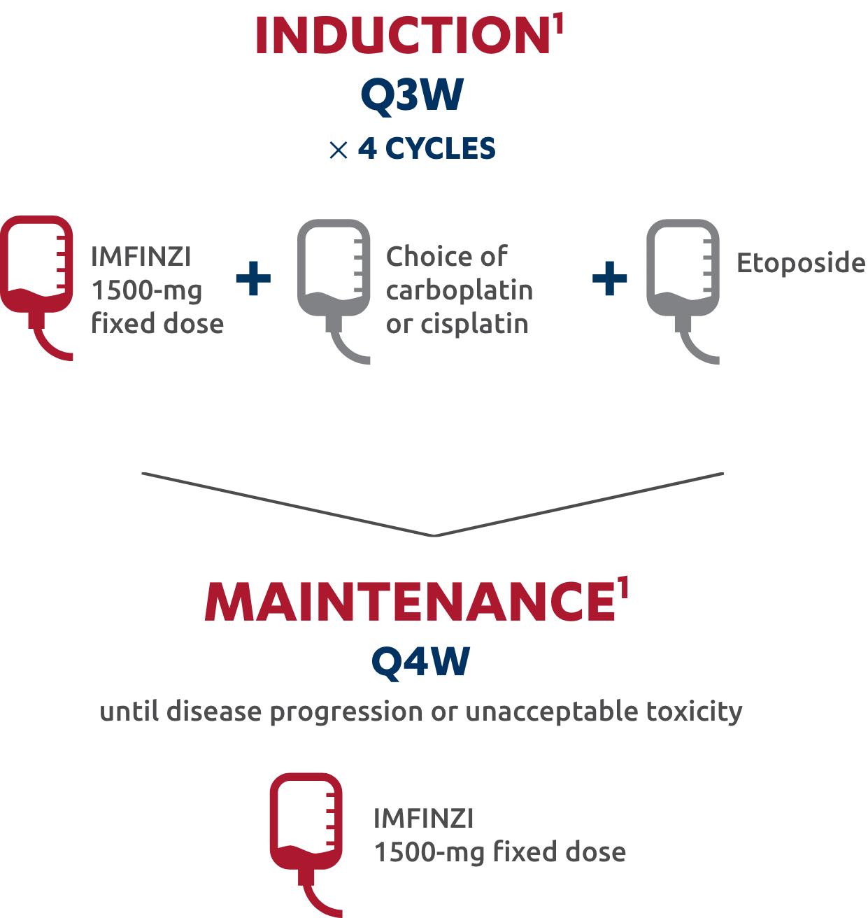 Recommended dosage in 1L ES-SCLC